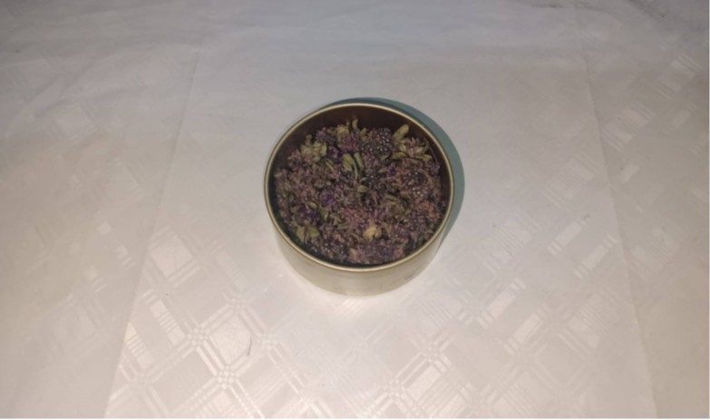 Artvin’de endemik Yayla Çayı Çiçeği’ni yasa dışı yollarla Gürcistan’a çıkarmaya