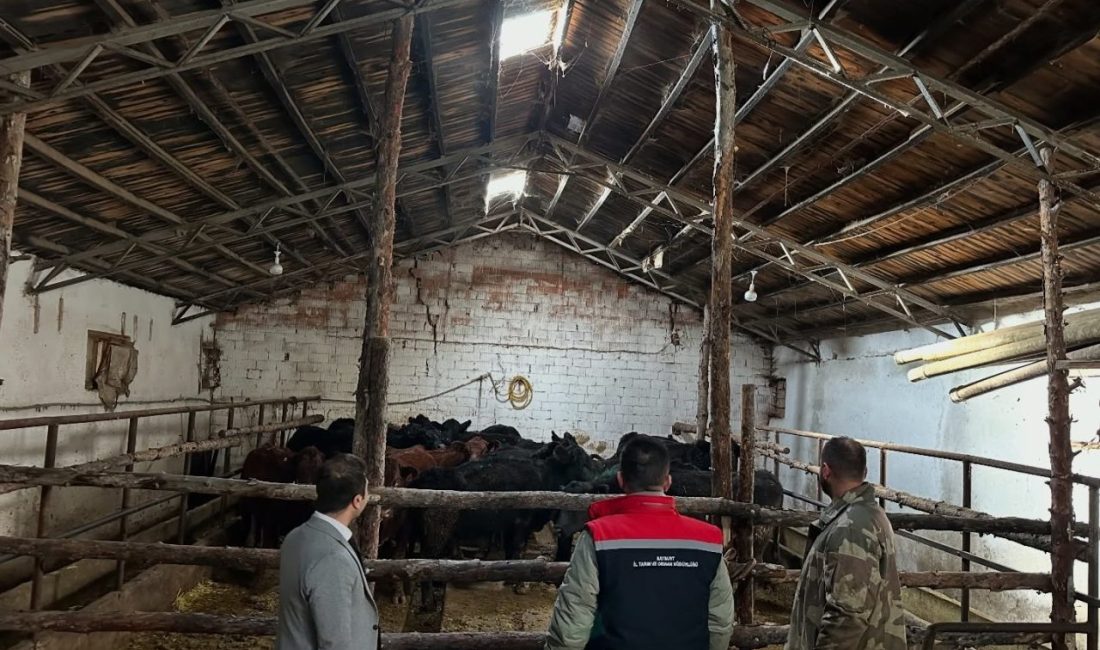 Tarım ve Orman Bakanlığının yürüttüğü ‘Kırsalda Bereket Hayvancılığa Destek Projesi’