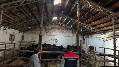 Tarım ve Orman Bakanlığının yürüttüğü ‘Kırsalda Bereket Hayvancılığa Destek Projesi’