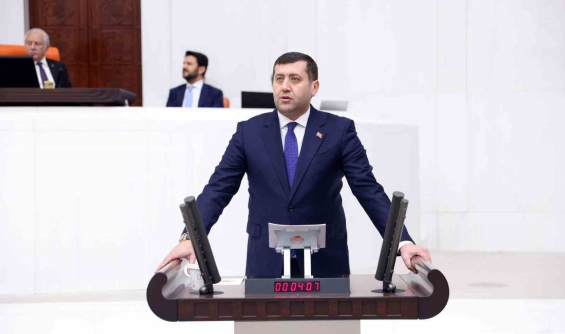 Milliyetçi Hareket Partisi (MHP) Kayseri Milletvekili Baki Ersoy, Enerji ve