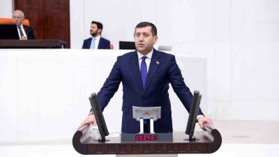 Milliyetçi Hareket Partisi (MHP) Kayseri Milletvekili Baki Ersoy, Enerji ve