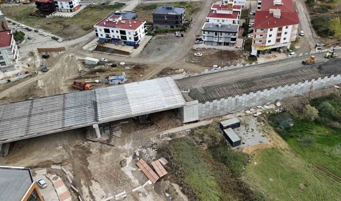 Samsun Büyükşehir Belediye Başkanı Halit Doğan, Recep Tayyip Erdoğan (RTE)