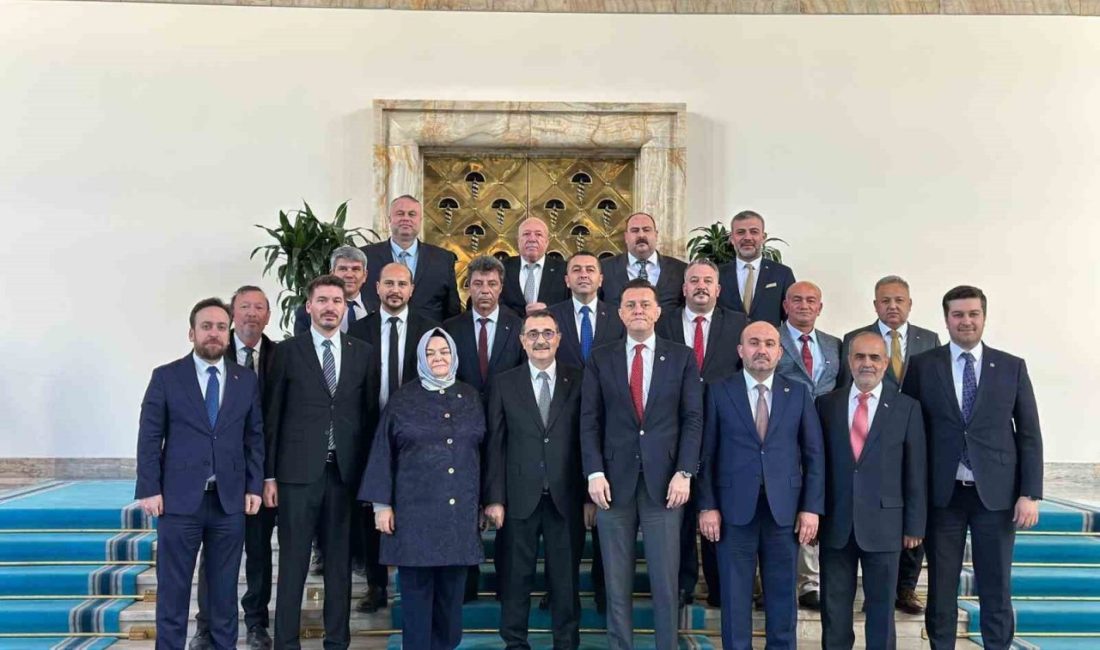 İnönü Belediye Başkanı Serhat Hamamcı, başta Cumhurbaşkanı Recep Tayyip Erdoğan