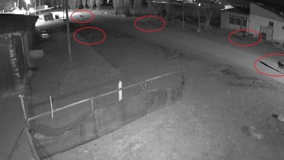 Kış aylarında yiyecek bulmakta zorlanan ve Oruçbeyli köyünün yerleşim alanına