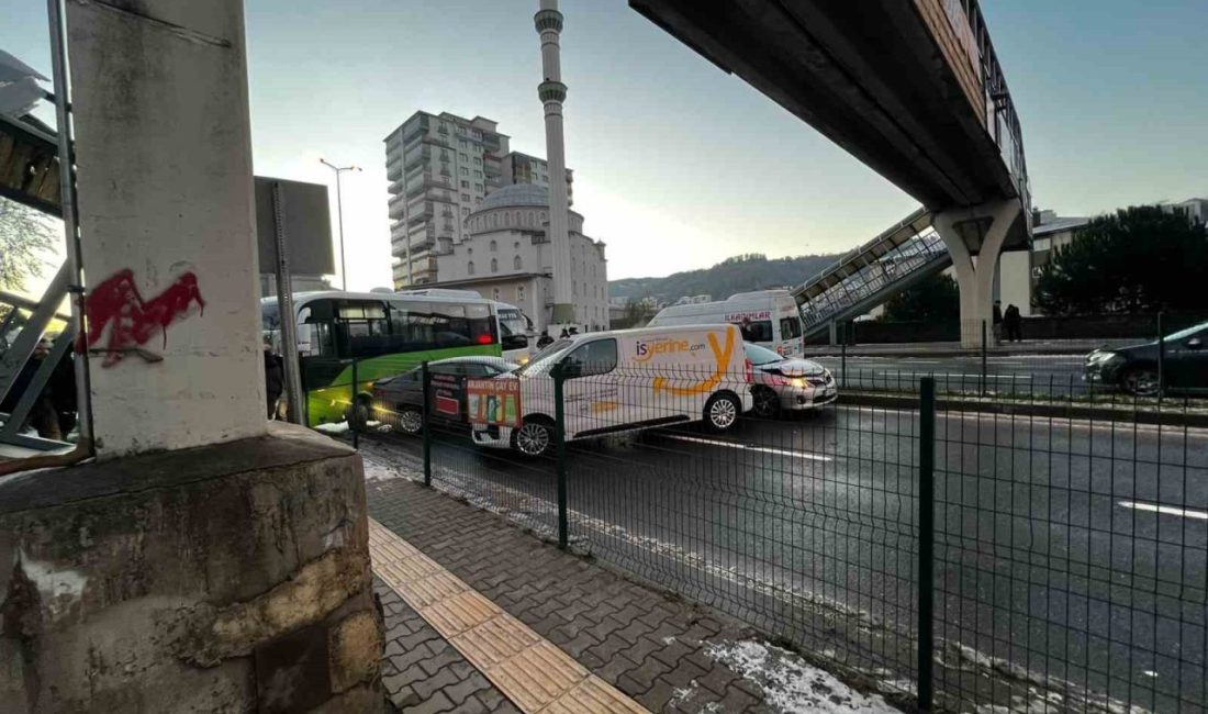 Zonguldak’ın Ereğli ilçesinde kar yağışının ardından havanın ayaz olması nedeniyle
