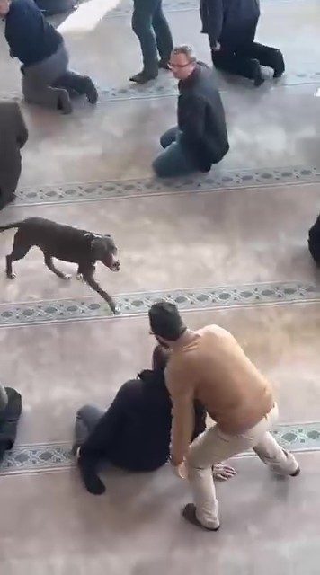 Kocaeli’nin Çayırova ilçesinde, cuma namazı öncesinde vaazın sürdüğü esnada pitbull