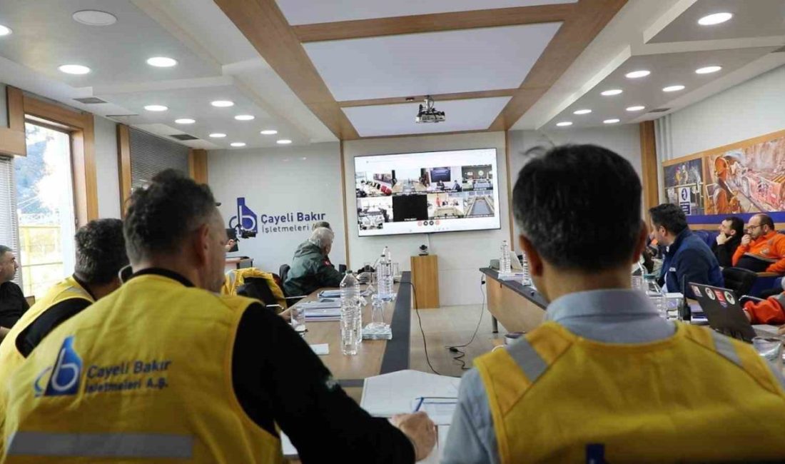 Enerji ve Tabii Kaynaklar Bakanlığı koordinasyonunda, kamu kurumları ve özel