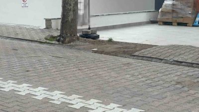 Kocaeli’nin Darıca ilçesinde sokakta ağacın altında gördüğü kargo poşetini çöpe