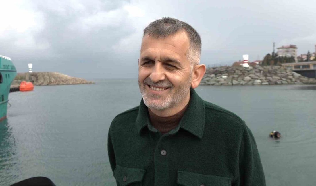 Bilim insanlarının yaptığı araştırma Karadeniz’de hamsinin gelecekte giderek avının azalacağı