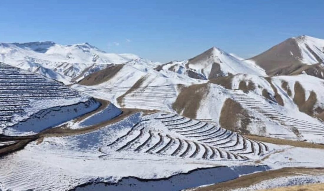 Meteoroloji verilerine göre dün gece ülkemizin en soğuk yeri Erzurum’un