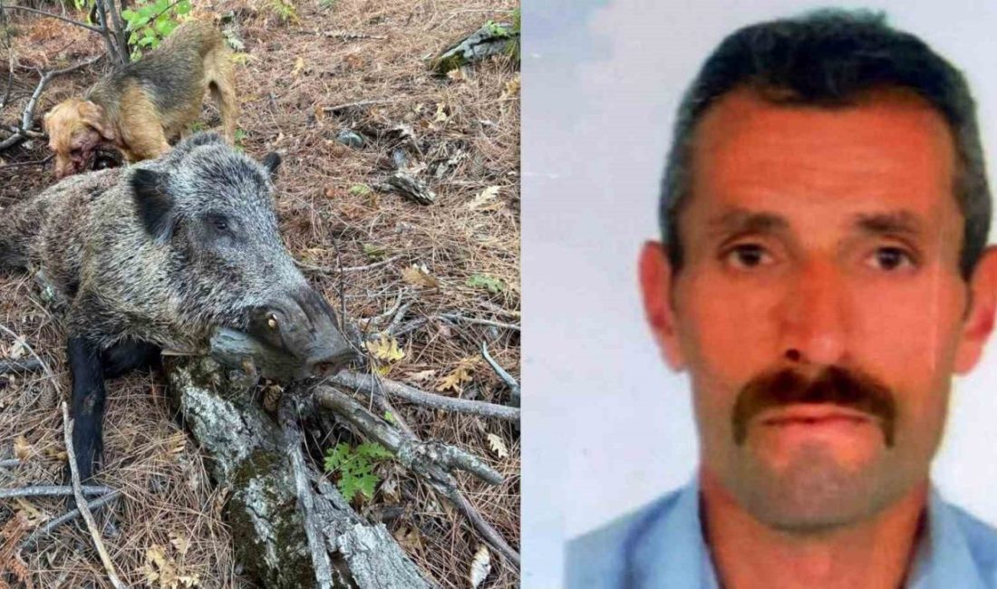 Erzincan’ın Kemah ilçesinde domuz avı sırasında yaşanan talihsiz olayda bir