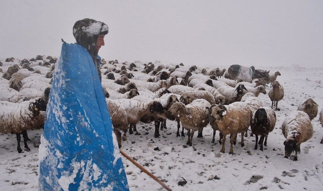 Erzincan’da kış mevsiminin etkisini artırmasıyla birlikte, karla kaplanan köylerde besiciler