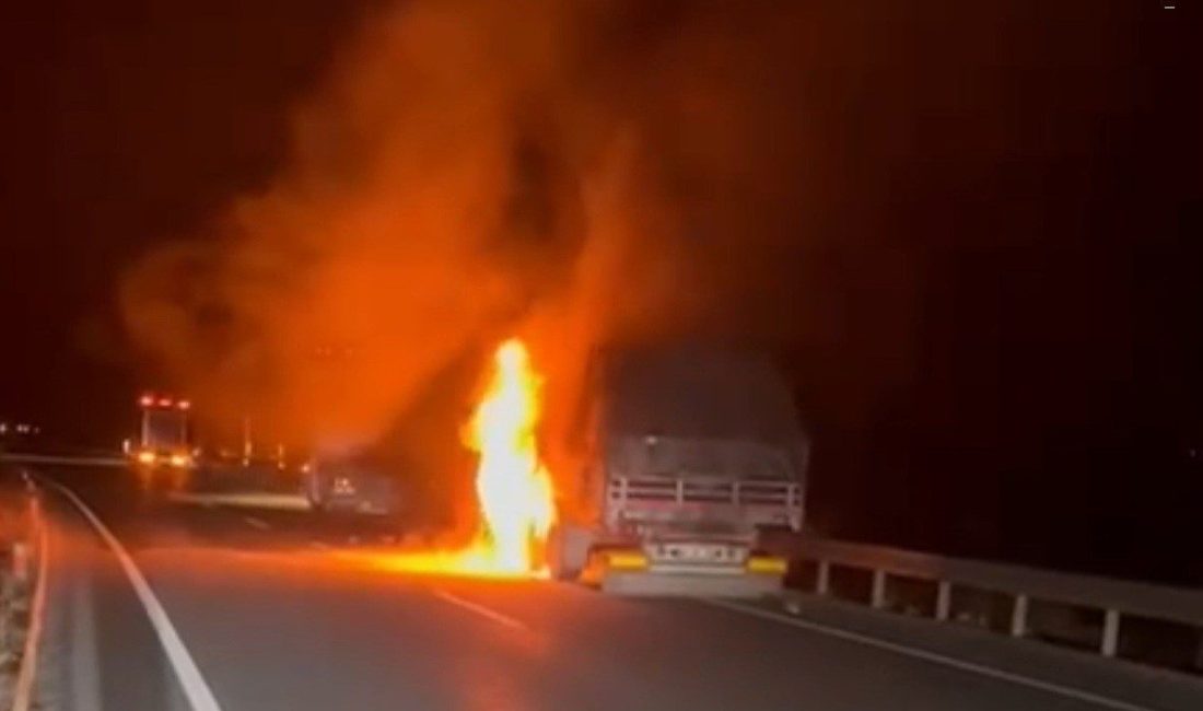 Erzincan’ın Üzümlü ilçesinde seyir halindeki TIR’da çıkan yangın paniğe neden