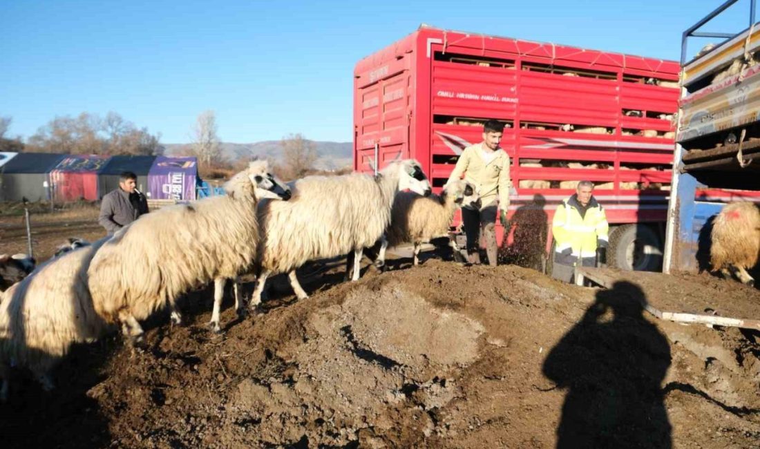 Erzincan’da yüksek kesimlerde görülen kar yağışı ve soğuk havayla birlikte