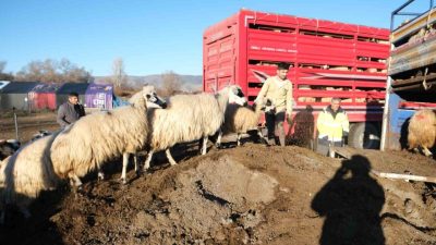 Erzincan’da yüksek kesimlerde görülen kar yağışı ve soğuk havayla birlikte