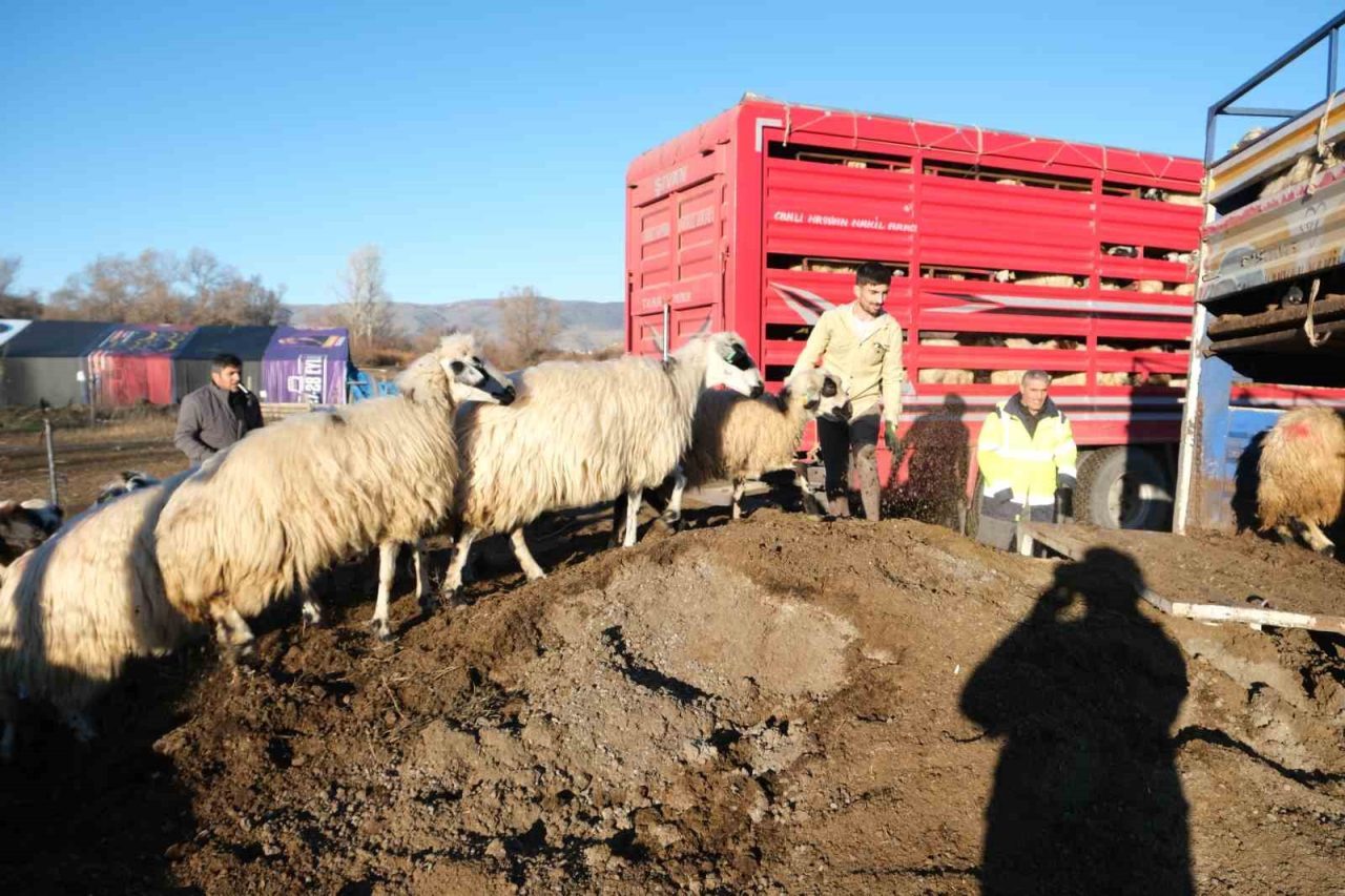 Erzincan’da yüksek kesimlerde görülen kar yağışı ve soğuk havayla birlikte