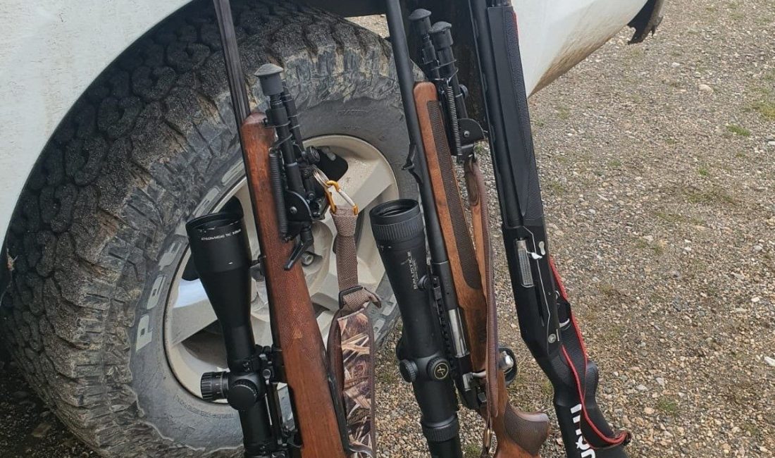 Erzincan’da doğa hayatını korumak amacıyla yapılan denetimlerde ekipler tarafından durdurulan