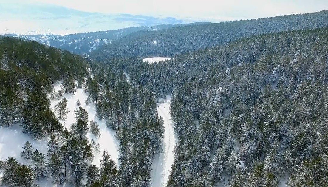 Erzincan’ın Refahiye ilçesinde bulunan ve çam ormanlarıyla çevrili Dumanlı Tabiat