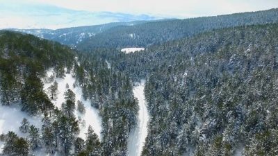Erzincan’ın Refahiye ilçesinde bulunan ve çam ormanlarıyla çevrili Dumanlı Tabiat
