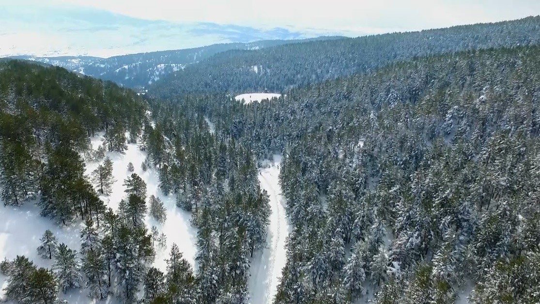 Erzincan’ın Refahiye ilçesinde bulunan ve çam ormanlarıyla çevrili Dumanlı Tabiat