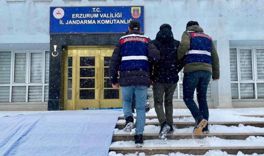 Erzurum’da Jandarma ekiplerince DEAŞ’a yönelik düzenlenen operasyonda 1 kişi yakalandı.