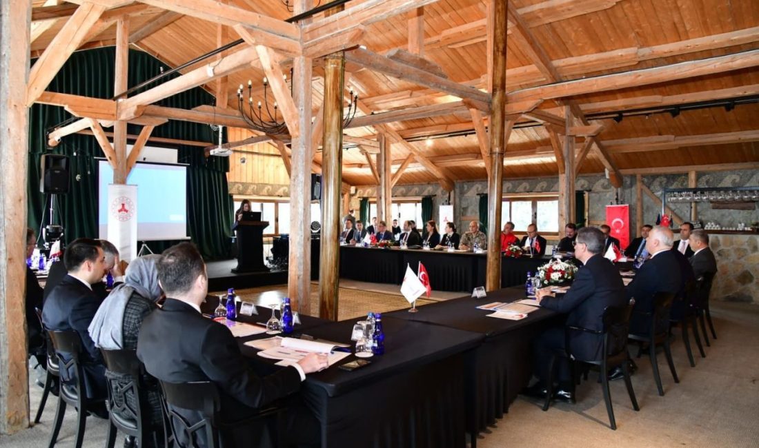 Giresun’da düzenlenen Düzensiz Göçle Mücadele Koordinasyon toplantısında Karadeniz Bölgesi illerinde