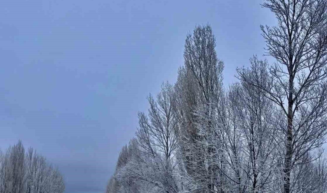Bayburt’un Demirözü ilçesine bağlı Gökçedere beldesinde etkili olan kar yağışı