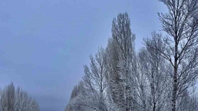 Bayburt’un Demirözü ilçesine bağlı Gökçedere beldesinde etkili olan kar yağışı