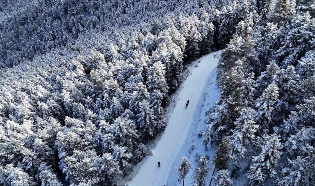 Gümüşhane’nin heybetli dağları, kar yağışının ardından kışın en sert ama