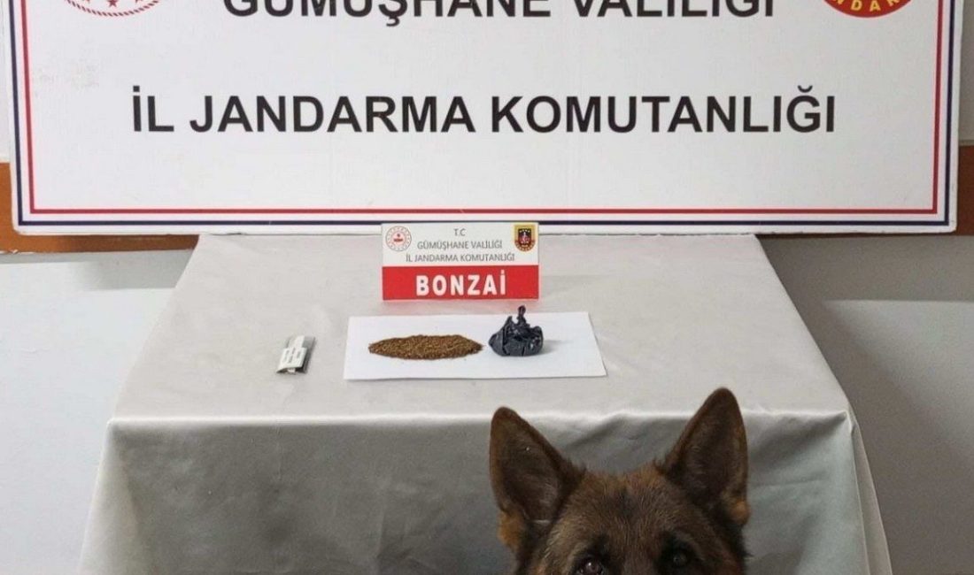 Gümüşhane’de jandarma ekipleri tarafından düzenlenen operasyonda 2 şüpheli yakalanarak gözaltına
