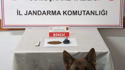 Gümüşhane’de jandarma ekipleri tarafından düzenlenen operasyonda 2 şüpheli yakalanarak gözaltına