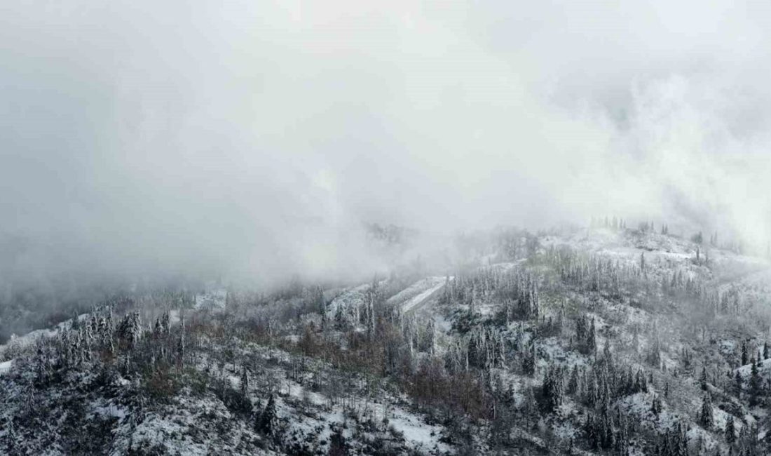 Rize’nin şehir merkezine en yakın yaylası olan Handüzü Yaylası’nda karın