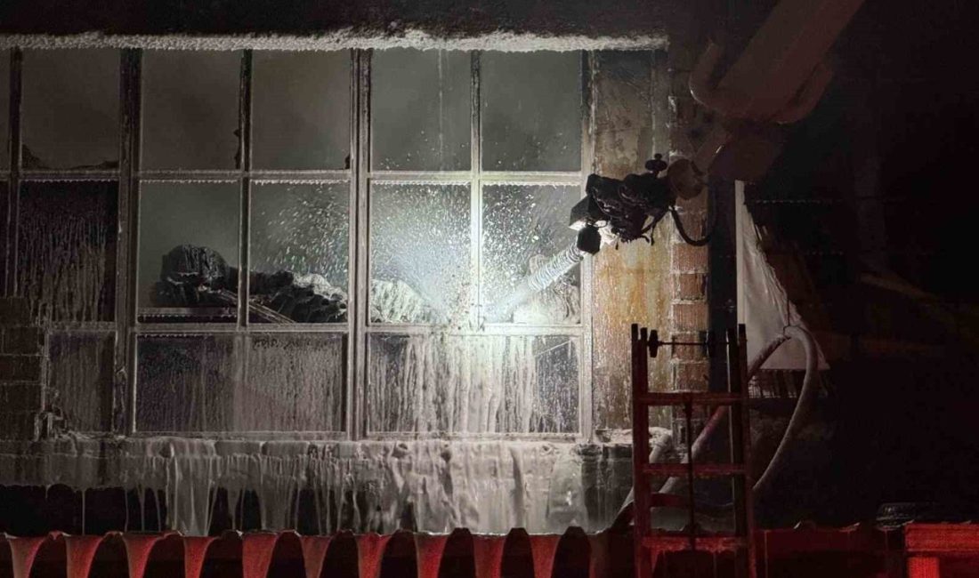 Sakarya’nın Arifiye ilçesinde bulunan bir hırdavat dükkanı alevlere teslim oldu.