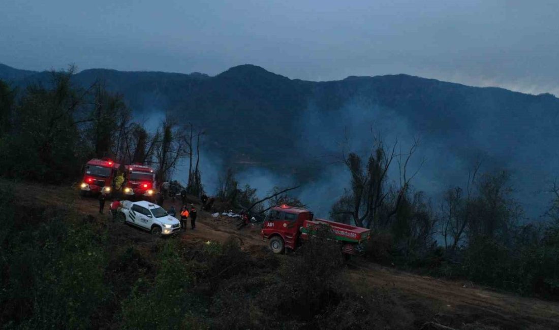 Artvin’in Hopa ilçesi Yoldere ve Başoba köyleri arasında çıkan ve