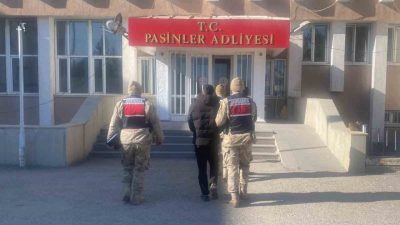 Erzurum’un Köprüköy ilçesinde büyükbaş hayvan hırsızlığı yapan 2 kişi jandarma