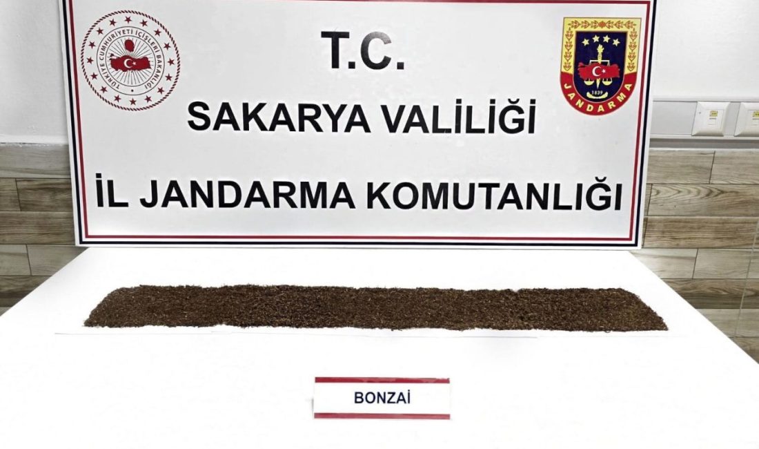 Sakarya’nın Karasu ilçesinde jandarma ekiplerince yapılan uyuşturucu operasyonunda gözaltına alınan