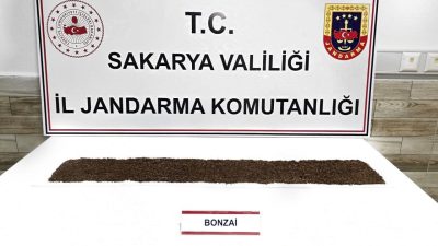 Sakarya’nın Karasu ilçesinde jandarma ekiplerince yapılan uyuşturucu operasyonunda gözaltına alınan