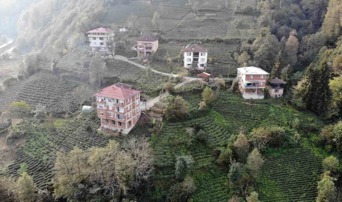 Doğu Karadeniz’in estetiğini bozan yapıların sıvasız tuğlalı oluşu, enerji verimliliği