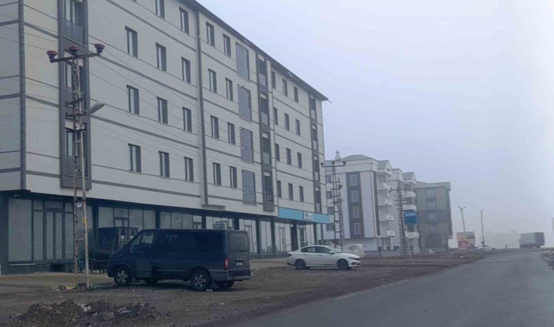 Türkiye İstatistik Kurumu (TÜİK) tarafından açıklanan Kasım 2025 verilerine göre,