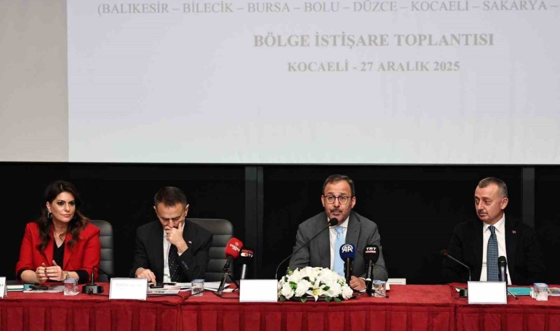 Türkiye Büyük Millet Meclisi Engelli Bireylerin Sorunlarını Araştırma Komisyonu, engelli