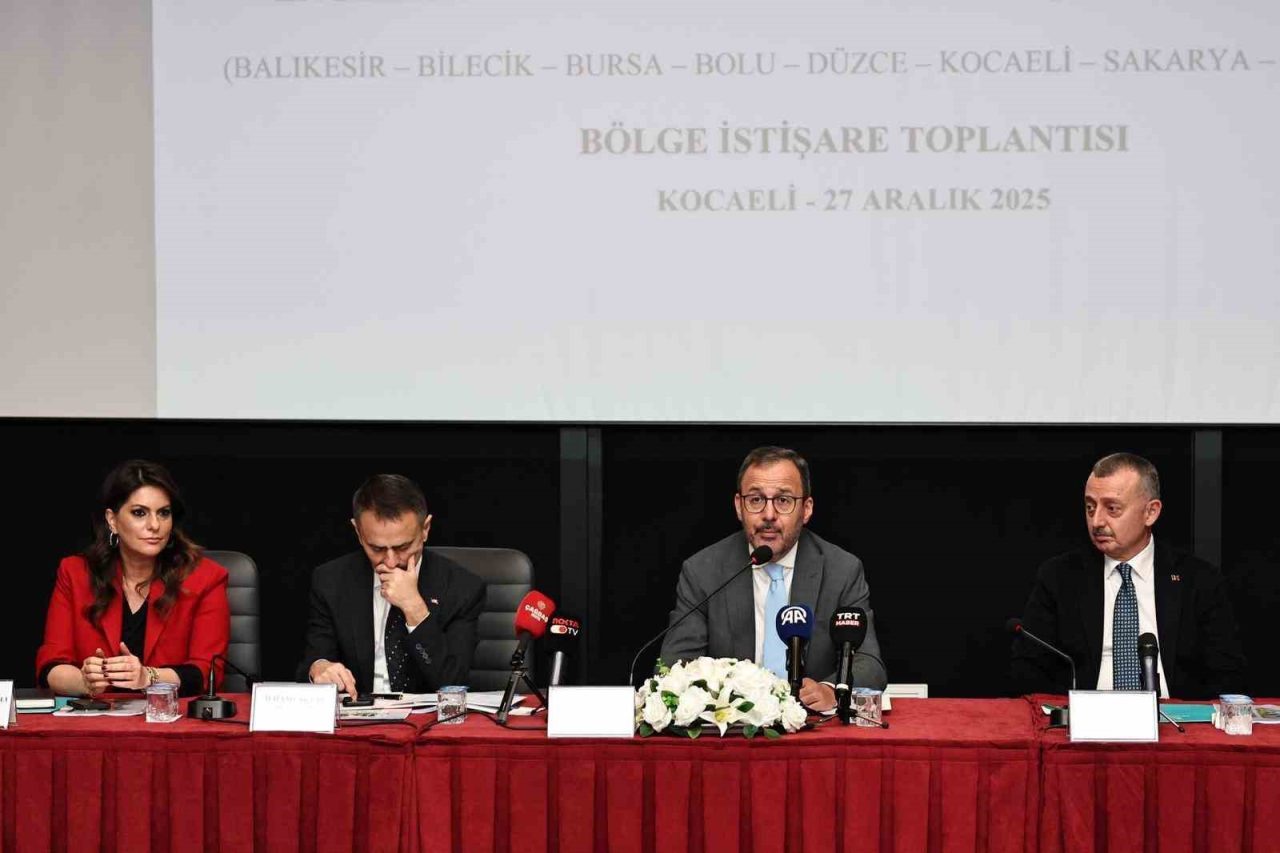 Türkiye Büyük Millet Meclisi Engelli Bireylerin Sorunlarını Araştırma Komisyonu, engelli