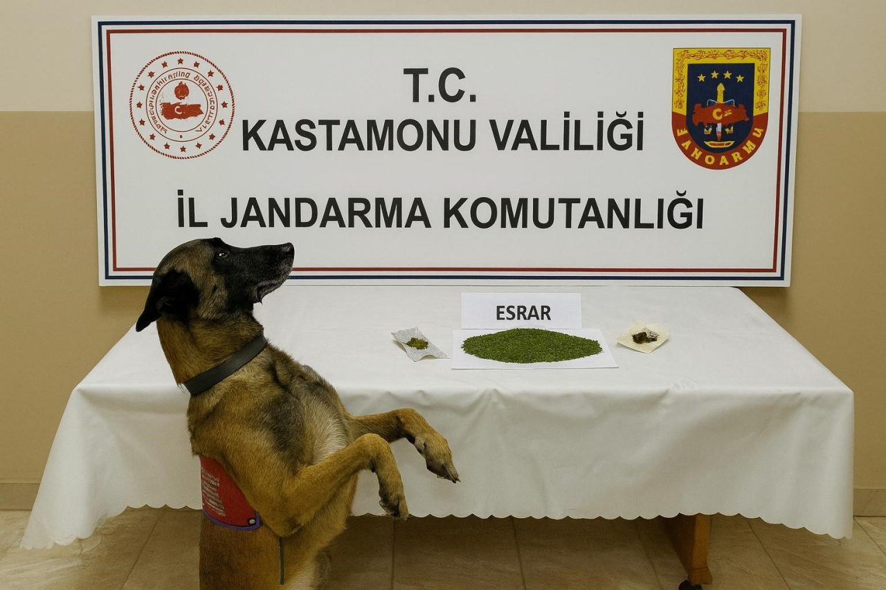Kastamonu’da jandarma ekipleri tarafından uyuşturucu maddeyle yakalanan 1 şüpheli tutuklandı.