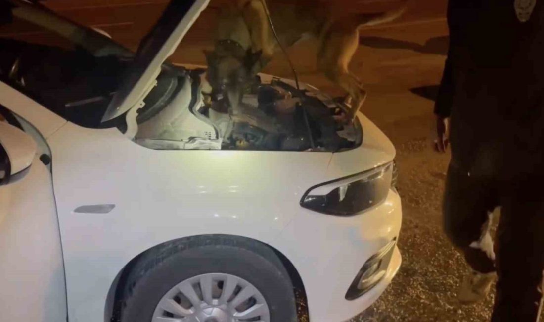 Kastamonu’da 2 araçta ele geçirilen uyuşturucuyla ilgili gözaltına alınan 5