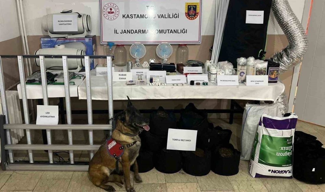 Kastamonu’da jandarma ekipleri tarafından gerçekleştirilen uyuşturucu operasyonlarında 6 şüpheli gözaltına