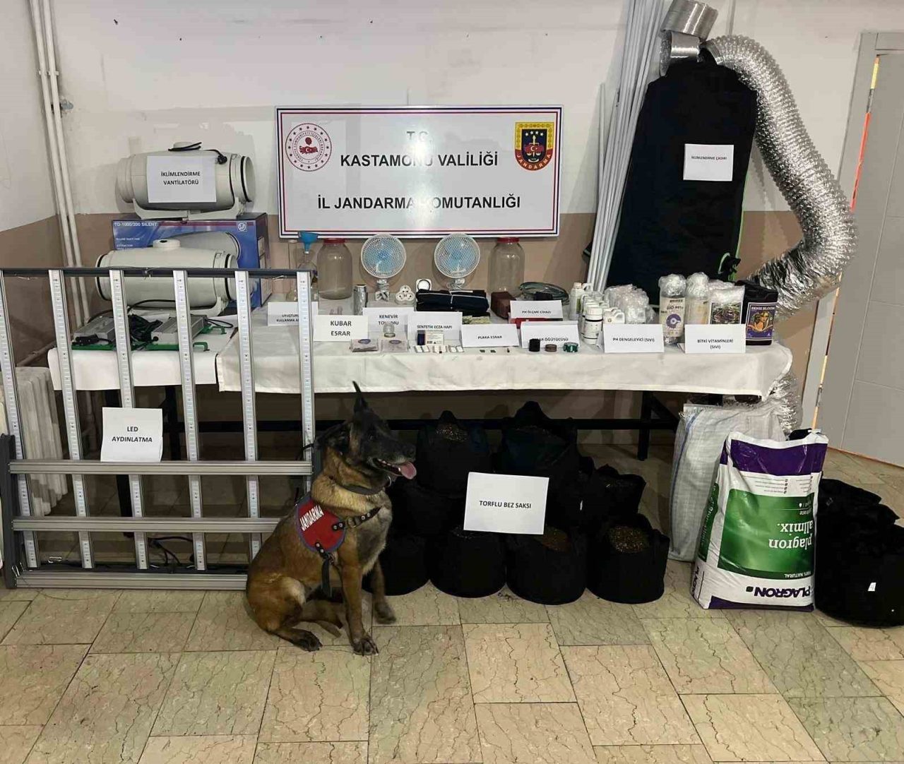 Kastamonu’da jandarma ekipleri tarafından gerçekleştirilen uyuşturucu operasyonlarında 6 şüpheli gözaltına