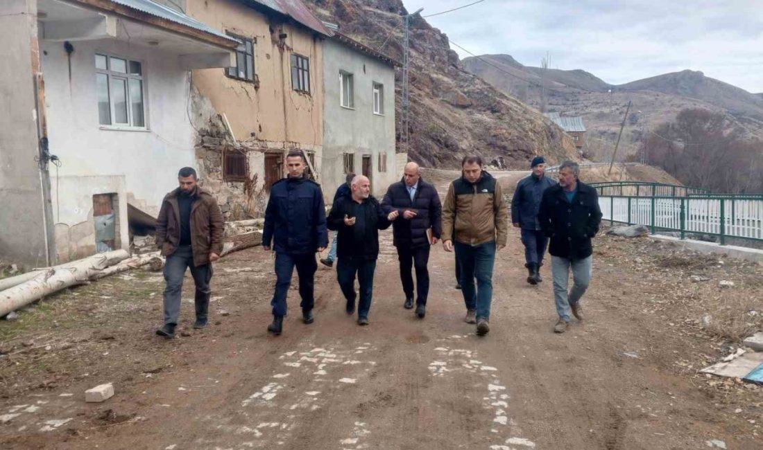 Aydıntepe Kaymakamı Ertuğrul Bayram, Pınargözü ve Alaca köylerini ziyaret etti.