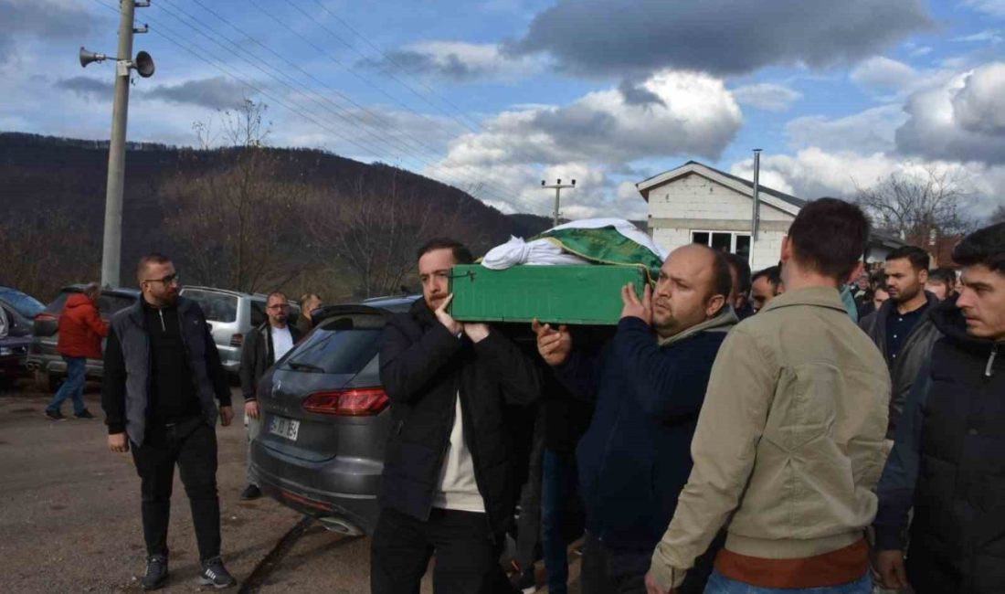 Sakarya’nın Hendek ilçesinde meydana gelen trafik kazasında ağır yaralanan ve