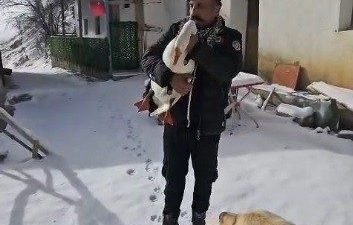 Erzincan’ın Refahiye ilçesine bağlı Kamberağa köyünde hayvancılıkla geçimini sağlayan Baki