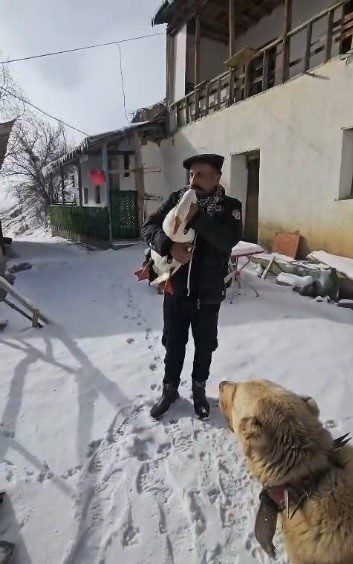 Erzincan’ın Refahiye ilçesine bağlı Kamberağa köyünde hayvancılıkla geçimini sağlayan Baki
