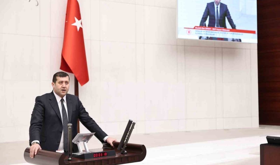 Milliyetçi Hareket Partisi Kayseri Milletvekili Baki Ersoy; TBMM Genel Kurulu’nda